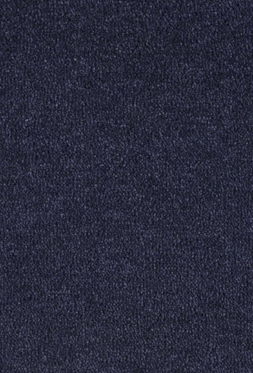 REST Bella Donna 790 400 x 150 cm