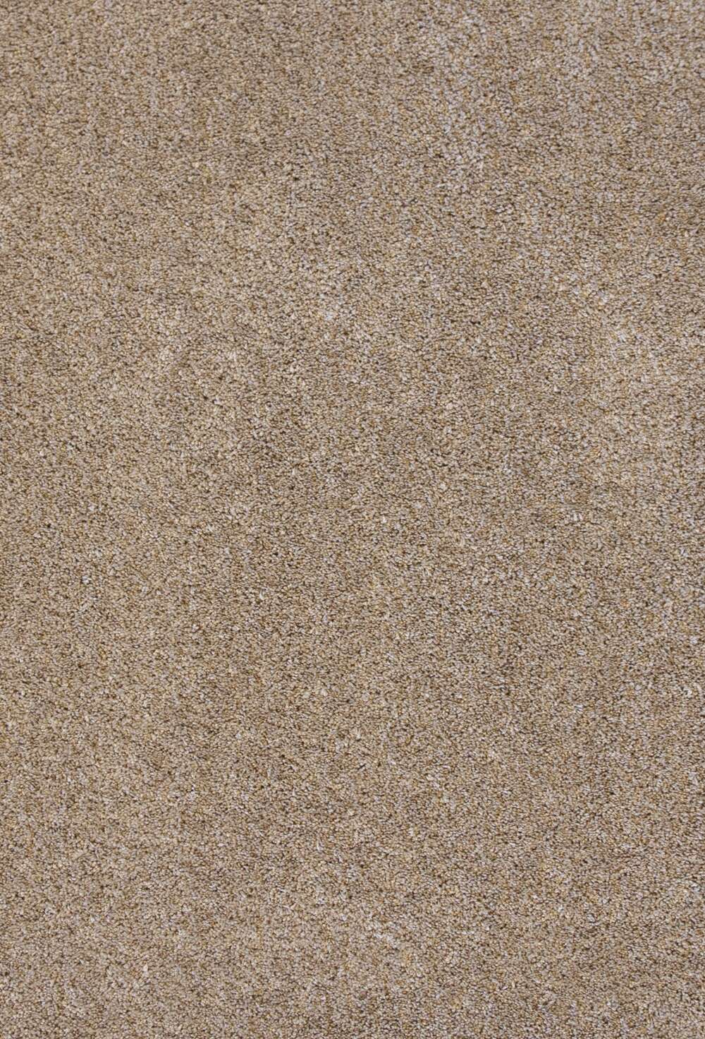 Amazing Teppeflis 72 Beige