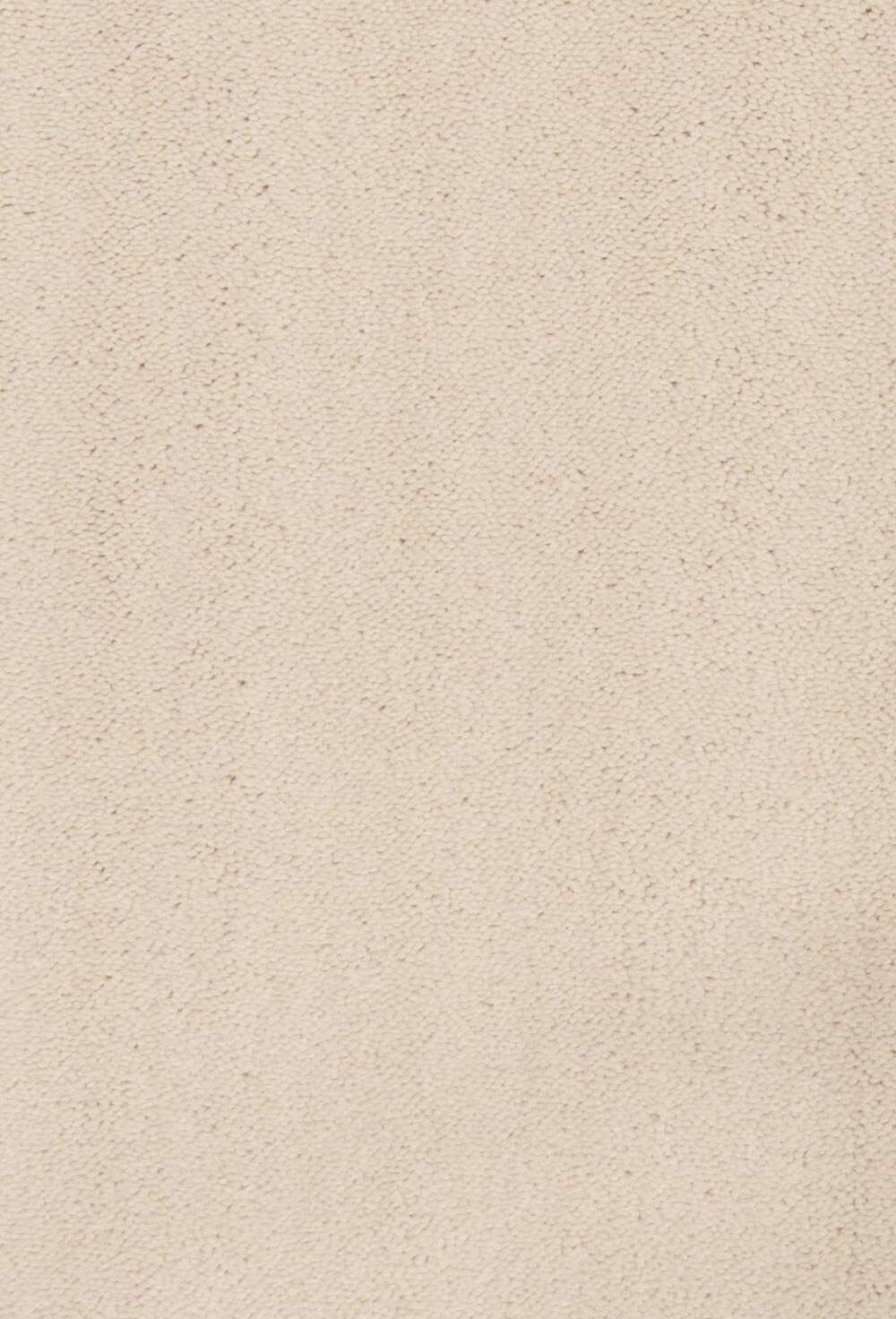 Celeste 440 Ivory vegg til vegg teppe