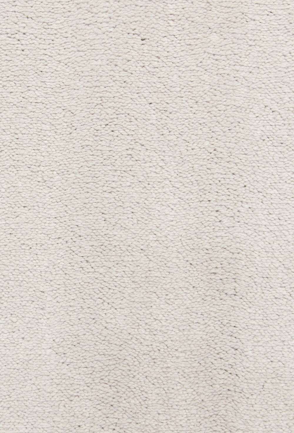 Celeste 240 Cream vegg til vegg teppe