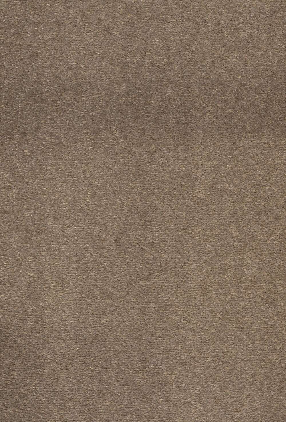 Jane 047 Taupe vegg til vegg teppe