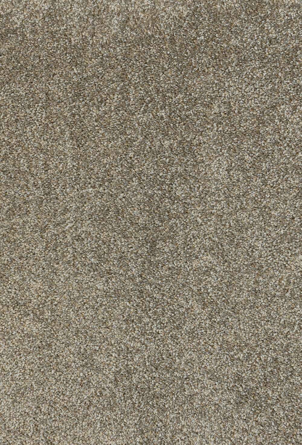 Joya 43 Taupe teppeflis